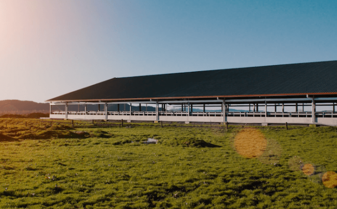 Waikato Dairy Barn System Sunset