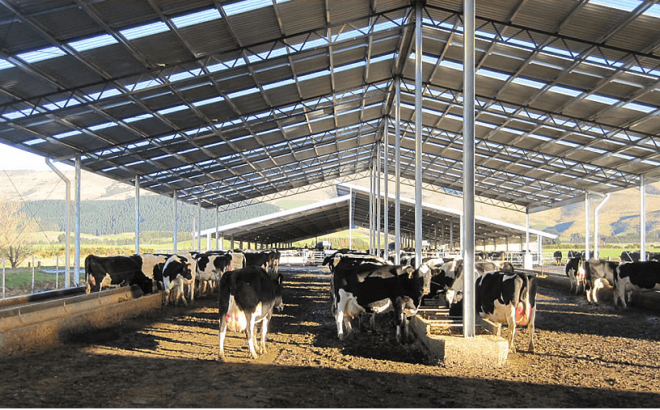 wintering sheds image 1 Dairy Barn Systems