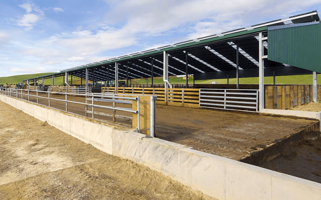 wintering sheds image 2 Dairy Barn Systems