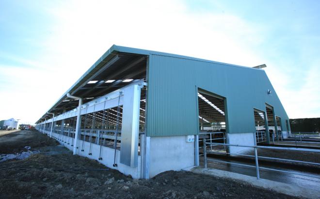 Craig Copland's Dairy Barn System to help improve dairy farming in new zealand