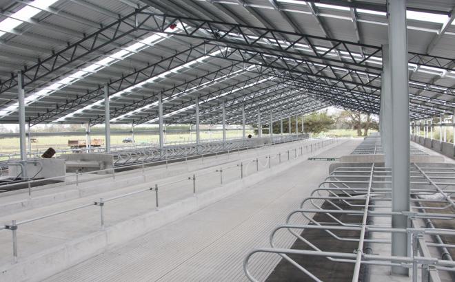 New Zealand dairy farmers help stop effluent on there farm with a dairy barn system