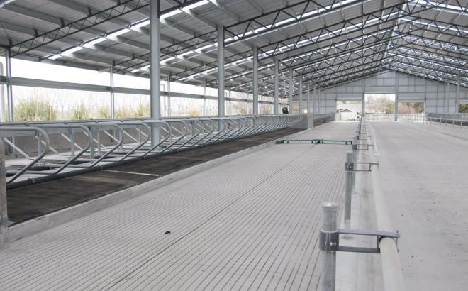 Dairy farms in New Zealand benefit from having a modern dairy shed system